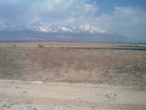 vypalovanie trav marec