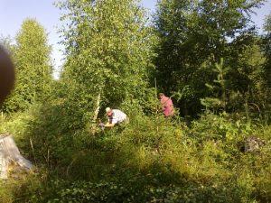 Urbar 4.8.2013