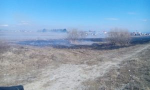 zasah 19.3. 2015
