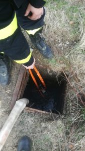 4.14.2018 usvit cistenie